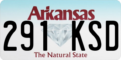 AR license plate 291KSD
