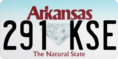 AR license plate 291KSE