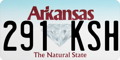 AR license plate 291KSH