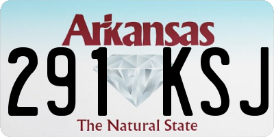 AR license plate 291KSJ
