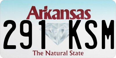 AR license plate 291KSM