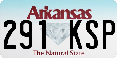 AR license plate 291KSP