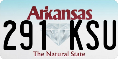 AR license plate 291KSU