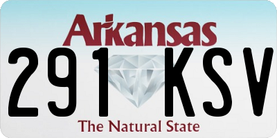 AR license plate 291KSV