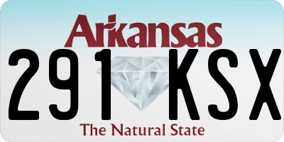 AR license plate 291KSX