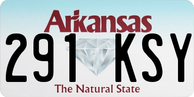 AR license plate 291KSY