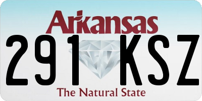 AR license plate 291KSZ