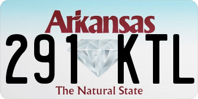 AR license plate 291KTL