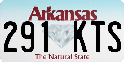 AR license plate 291KTS