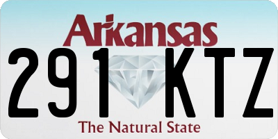 AR license plate 291KTZ