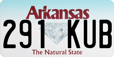 AR license plate 291KUB