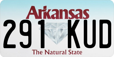 AR license plate 291KUD