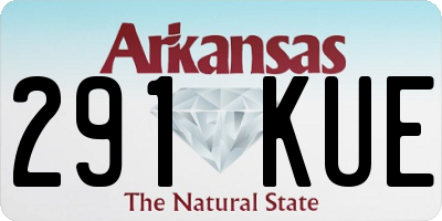 AR license plate 291KUE