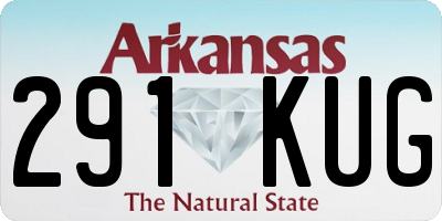 AR license plate 291KUG