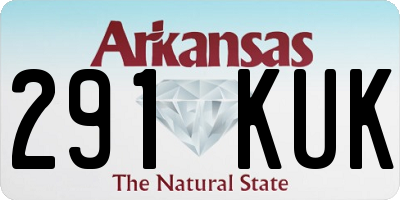 AR license plate 291KUK