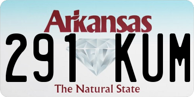 AR license plate 291KUM