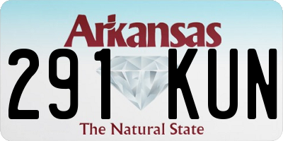 AR license plate 291KUN
