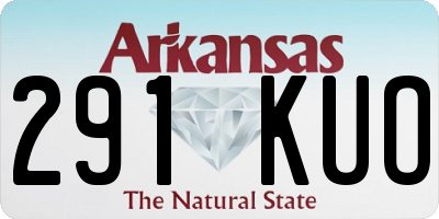 AR license plate 291KUO