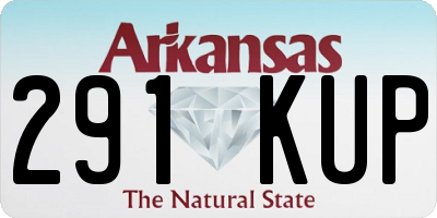 AR license plate 291KUP