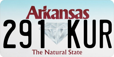 AR license plate 291KUR
