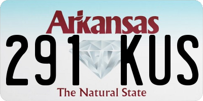 AR license plate 291KUS