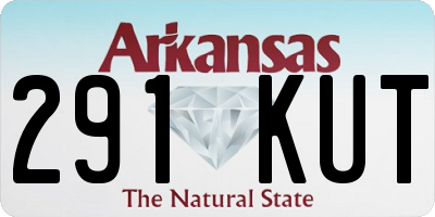 AR license plate 291KUT