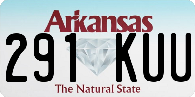 AR license plate 291KUU