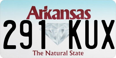 AR license plate 291KUX