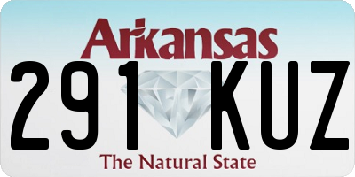 AR license plate 291KUZ