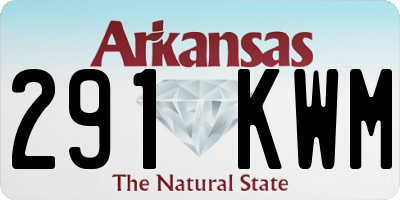 AR license plate 291KWM
