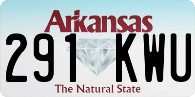 AR license plate 291KWU