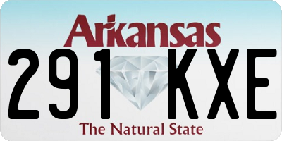 AR license plate 291KXE
