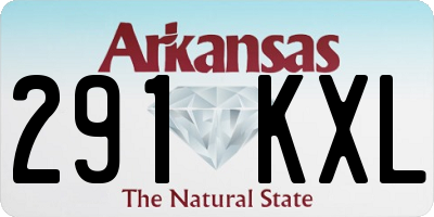 AR license plate 291KXL