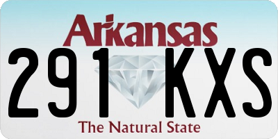 AR license plate 291KXS