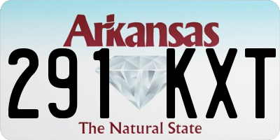 AR license plate 291KXT