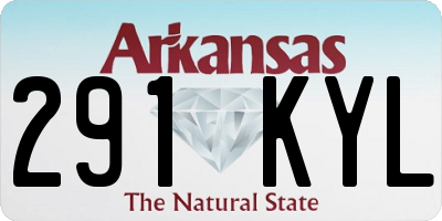 AR license plate 291KYL