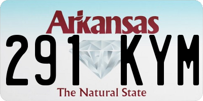 AR license plate 291KYM