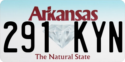 AR license plate 291KYN