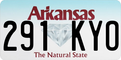 AR license plate 291KYO