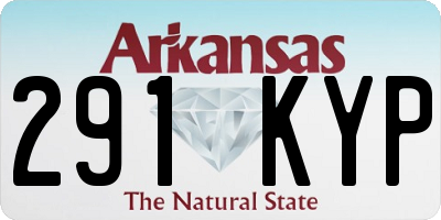 AR license plate 291KYP