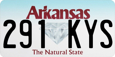 AR license plate 291KYS