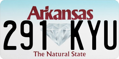 AR license plate 291KYU