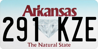 AR license plate 291KZE