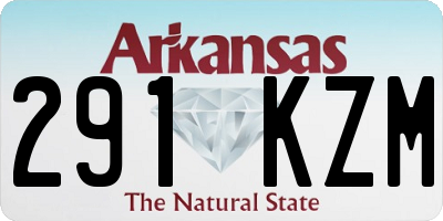AR license plate 291KZM