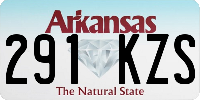AR license plate 291KZS