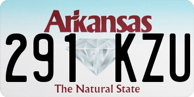 AR license plate 291KZU