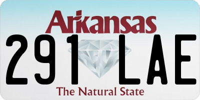 AR license plate 291LAE