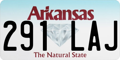 AR license plate 291LAJ