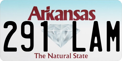 AR license plate 291LAM