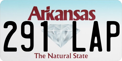 AR license plate 291LAP